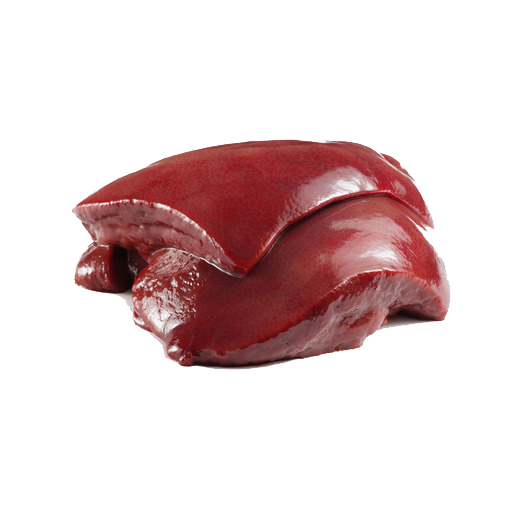 Higado